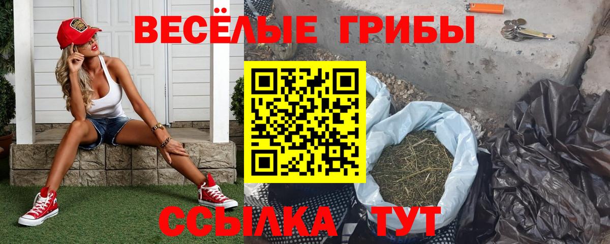 Галлюциногенные грибы Cubensis  Вход с VPN  Елабуга 